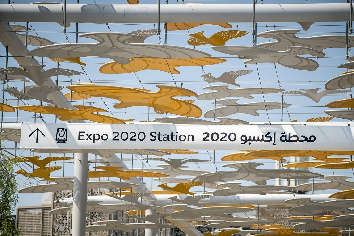 不是,这么好看的导视设计竟然没有人分享?