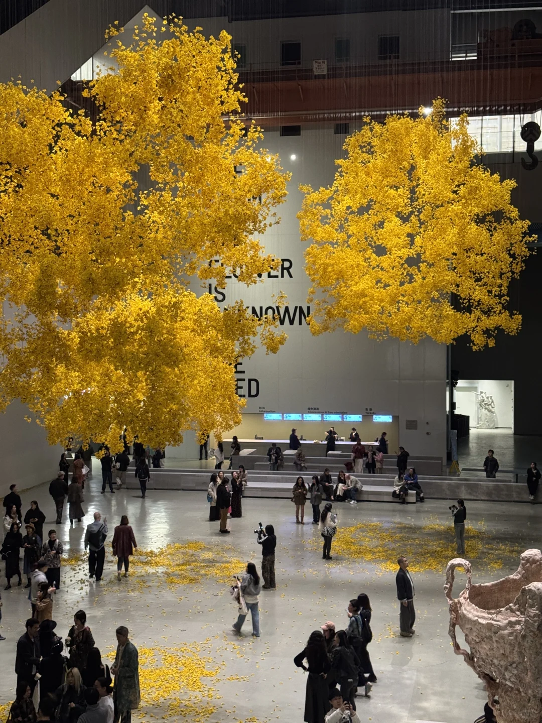 年度必看展｜上海双年展?花儿听到蜜蜂了吗