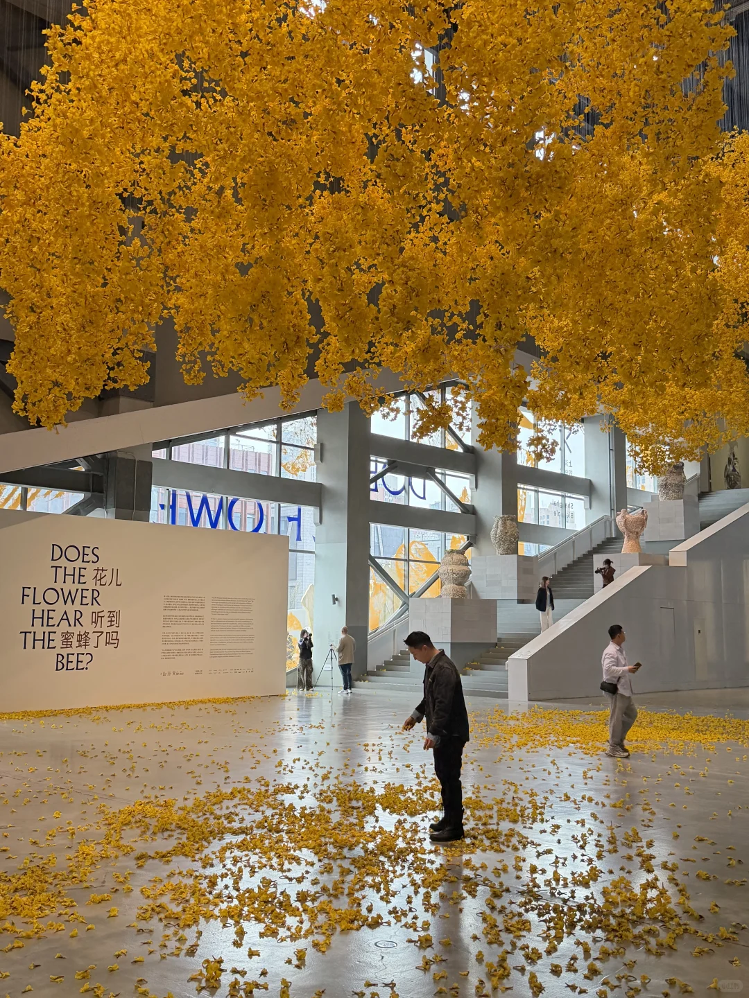 上海双年展抢先? 大装置太治愈了❗️