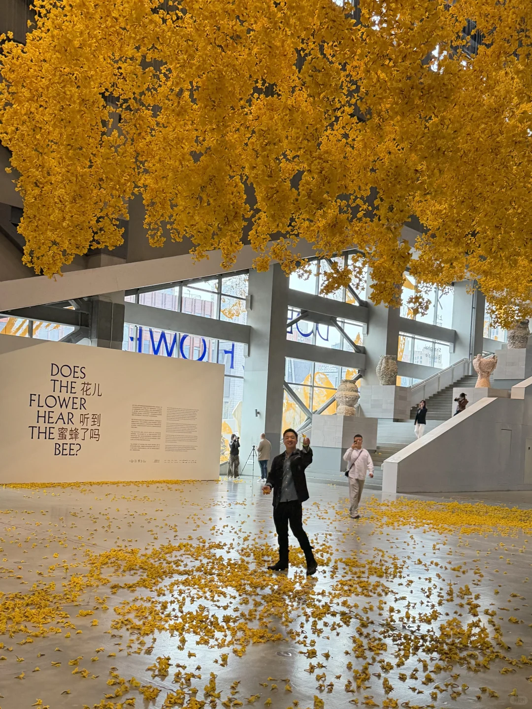 上海双年展抢先? 大装置太治愈了❗️