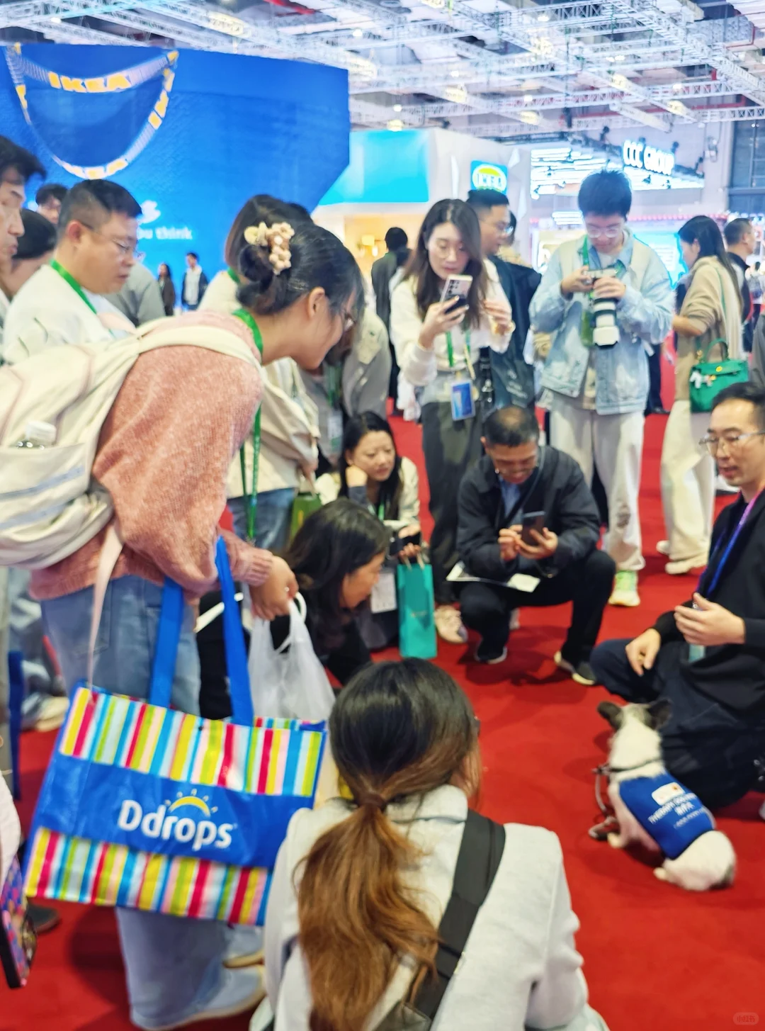 PFH动物疗法参与进博会啦！