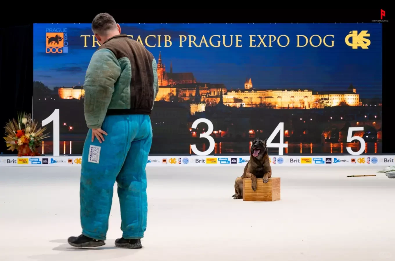 ???2025年12月布拉格梦幻圣诞季活动推荐