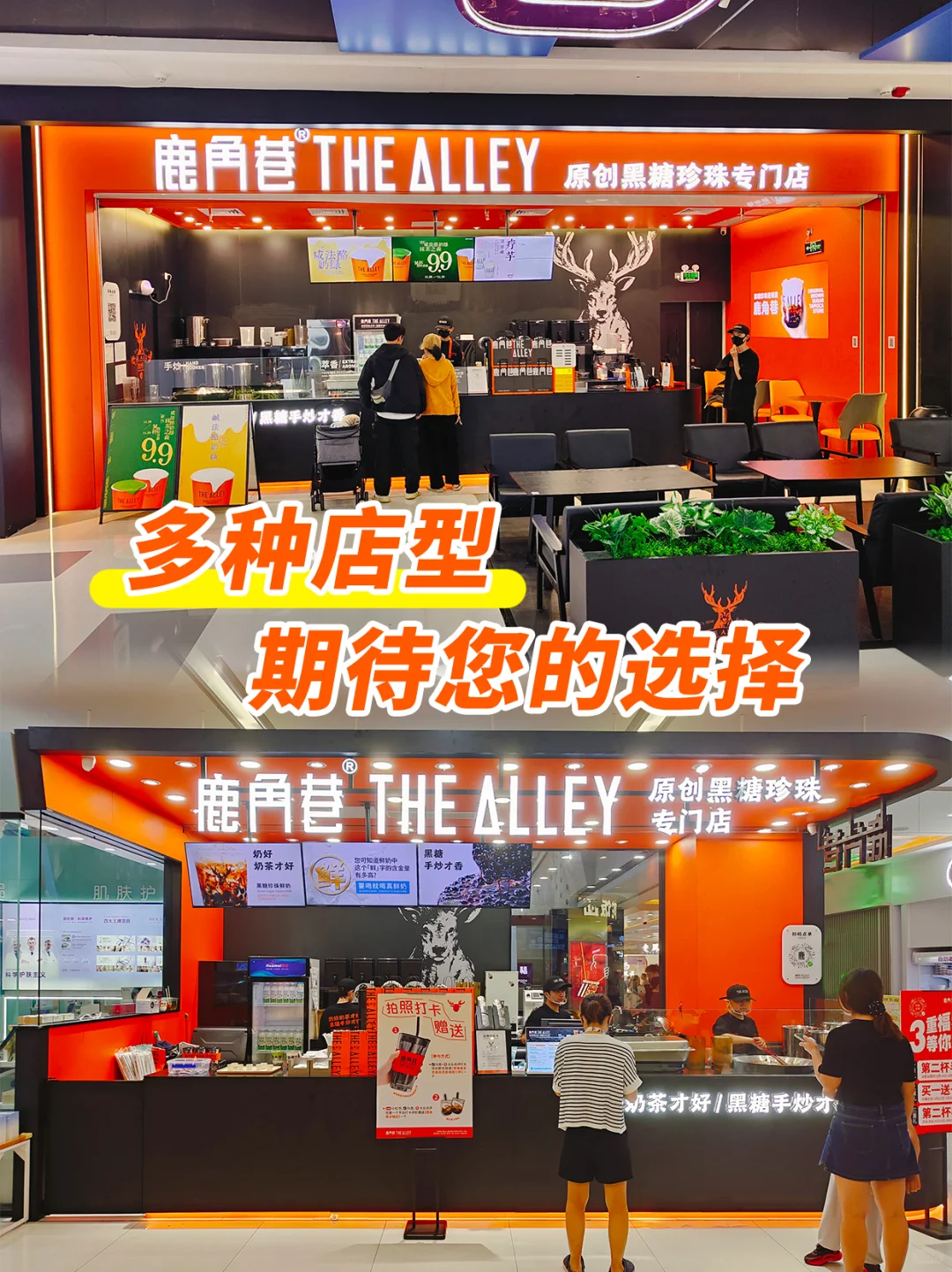 紧急! 鹿角巷,11.29 北京招商会抢位了!