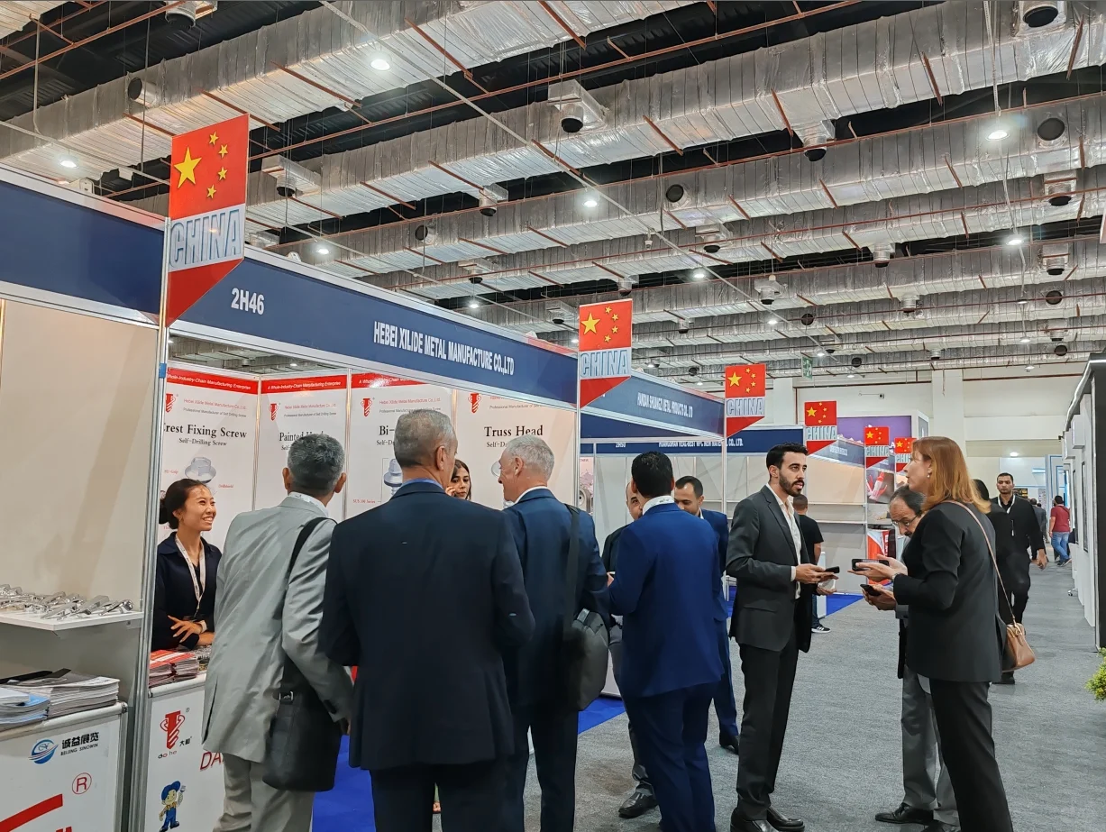 ?北非最大建筑盛会!埃及BIG5攻略?️