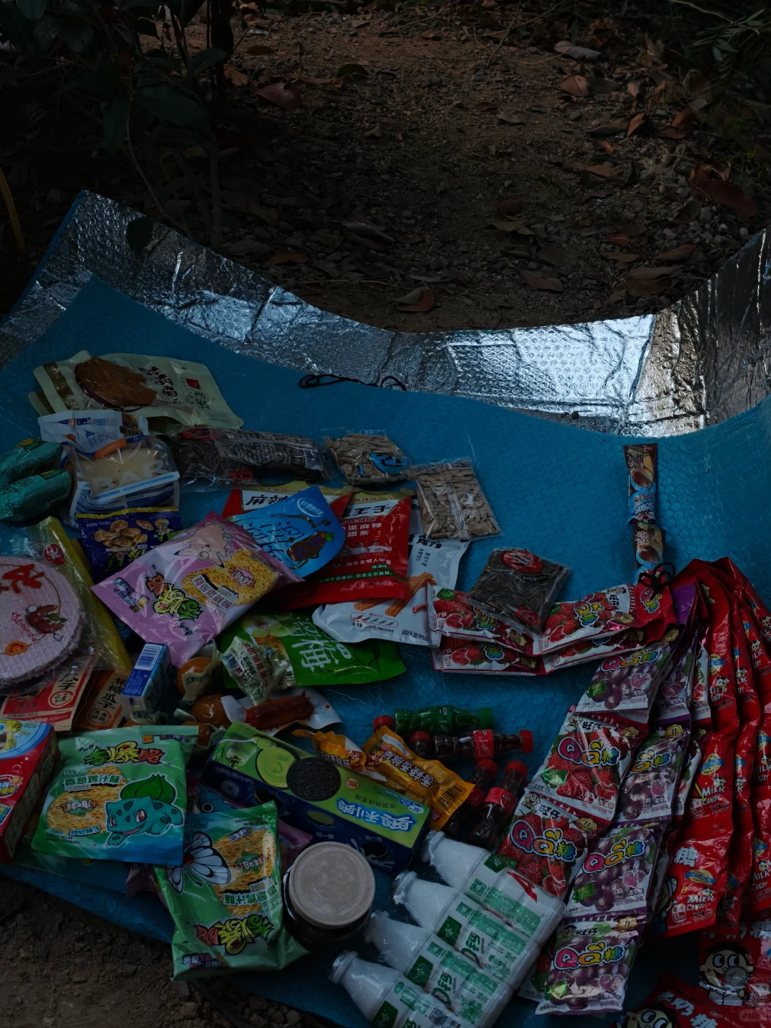 只要有人的地方 就有中国人卖东西