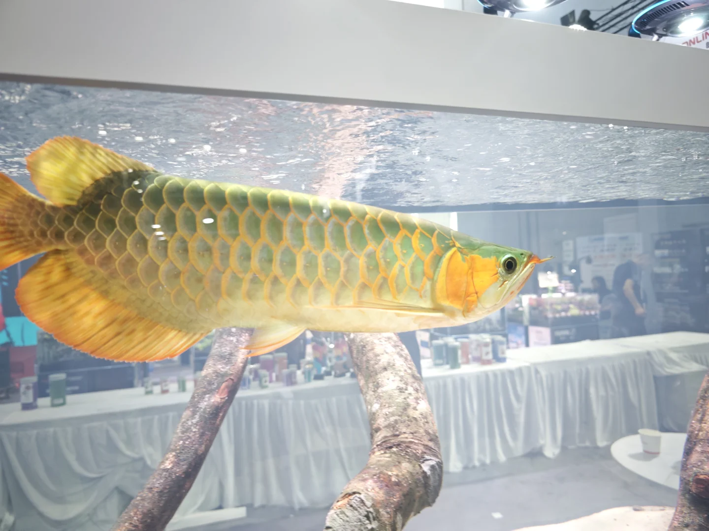 广交会CIPS长城宠物展