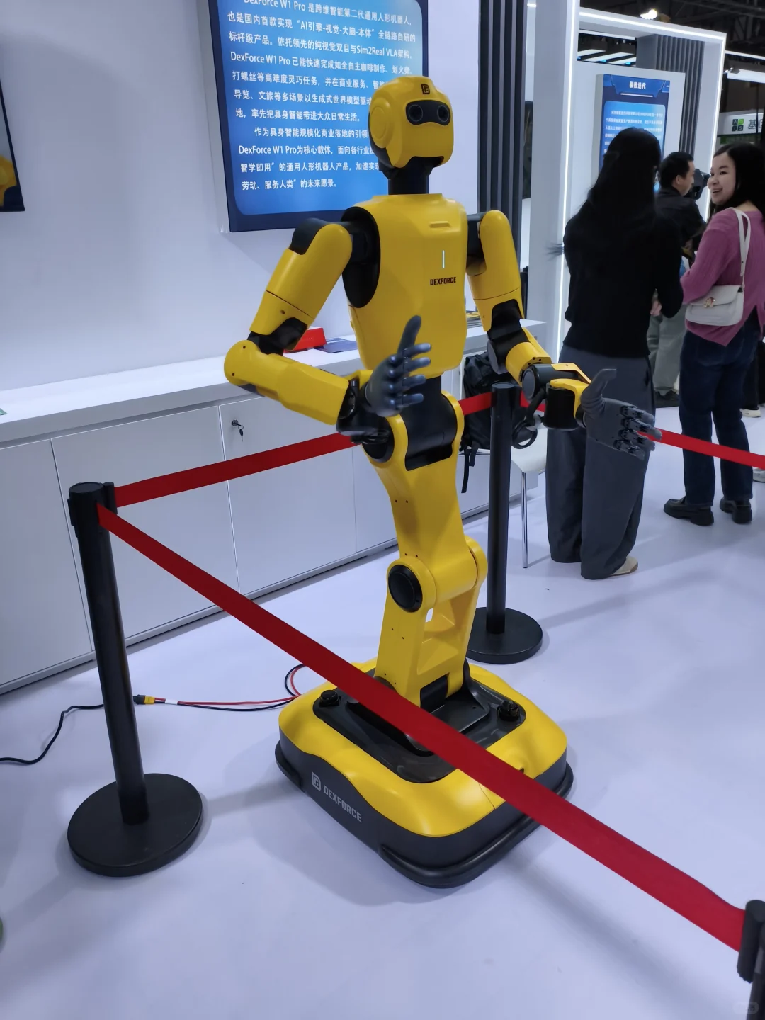 这个展真的太棒了！?