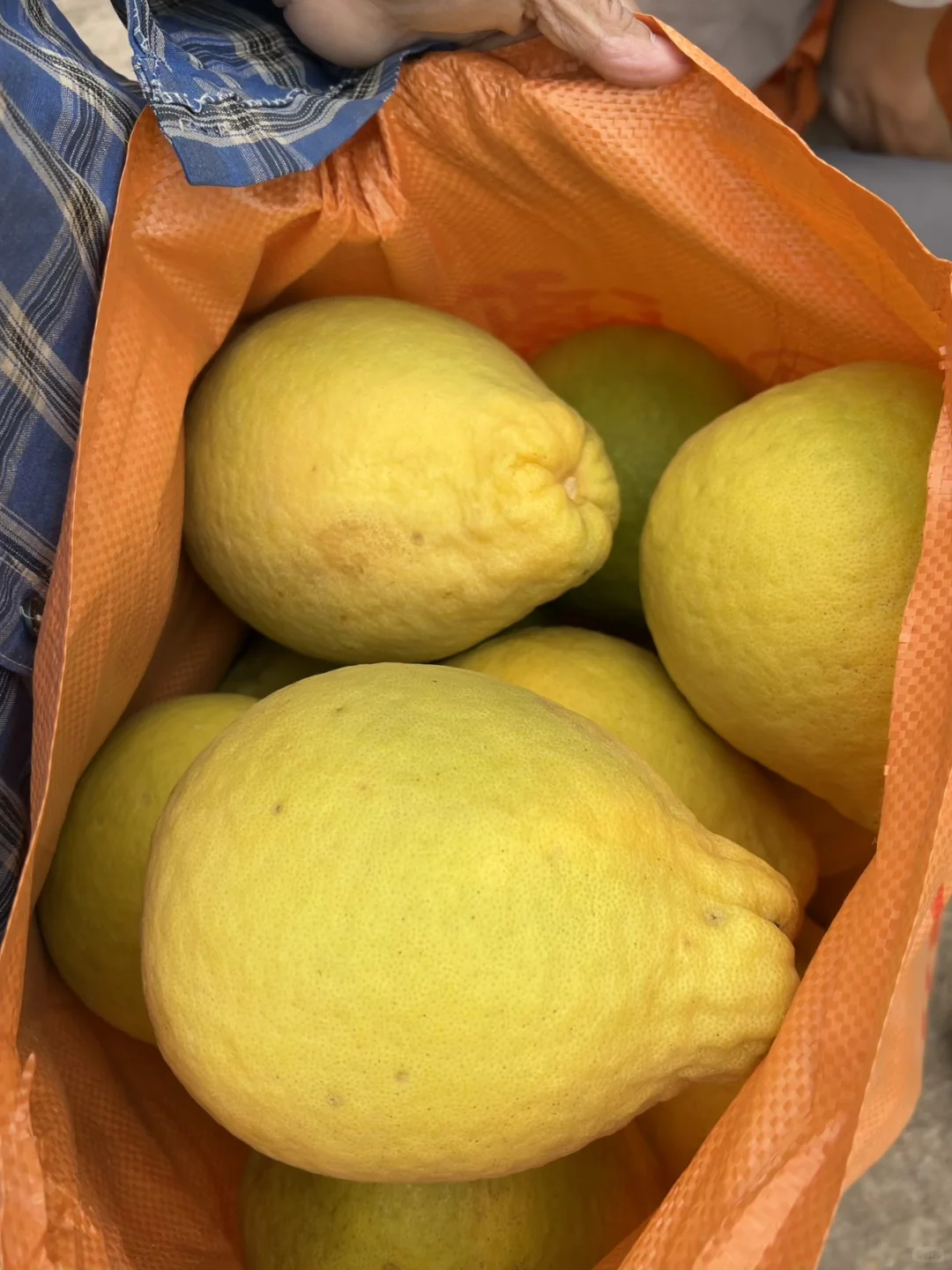 一大早看到，说实话，五味杂陈?谁懂果农啊?