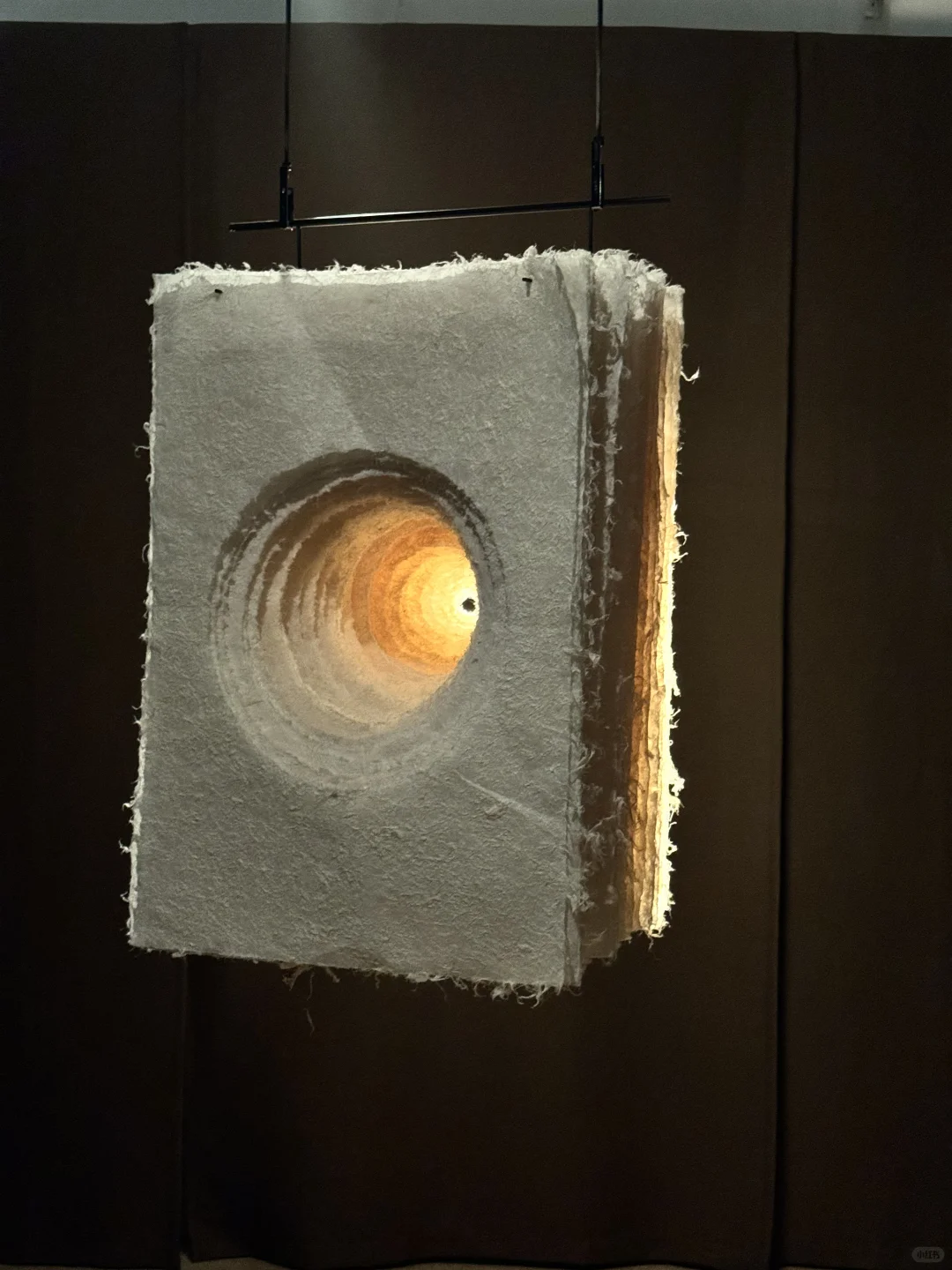 上海外滩这个展也太美了吧?