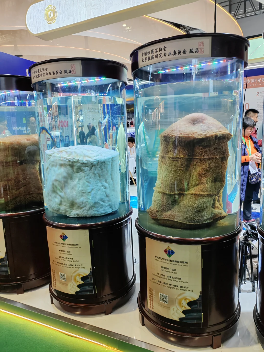 兼职日记之进博会兼职！！