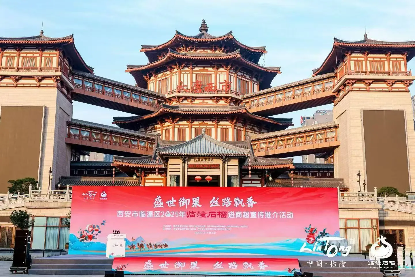 西安活动拍摄丨石榴推介会