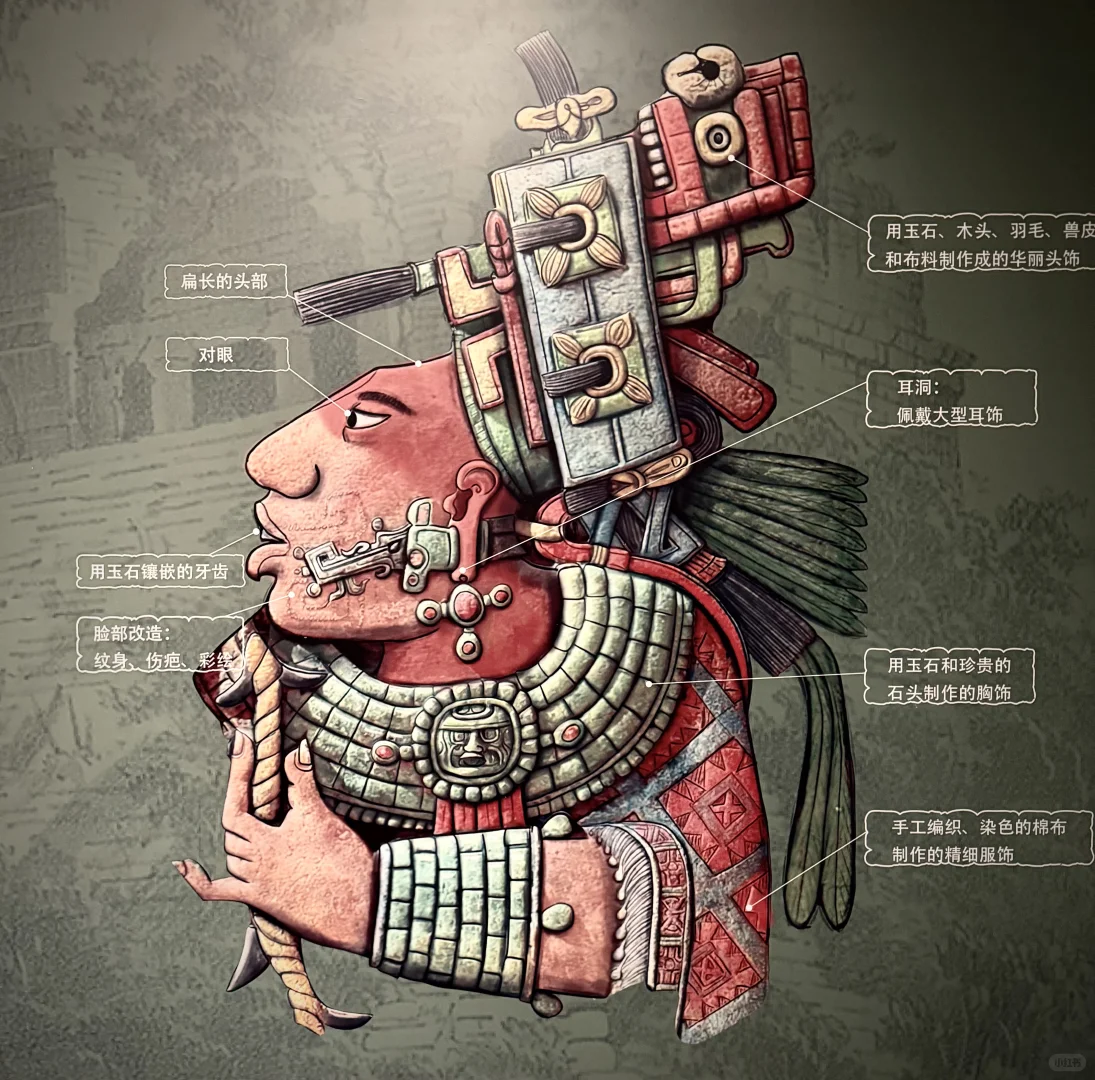 去不了库库尔坎金字塔，就来看玛雅文明展吧