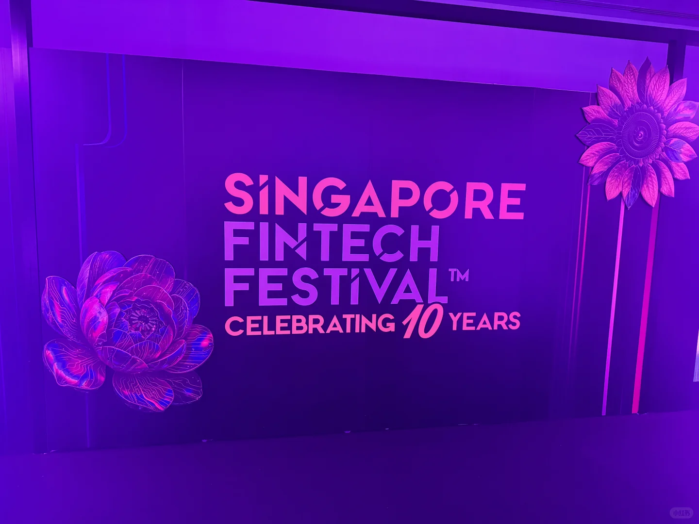 SFF 2025 现场直击 ?? 万物皆可 AI