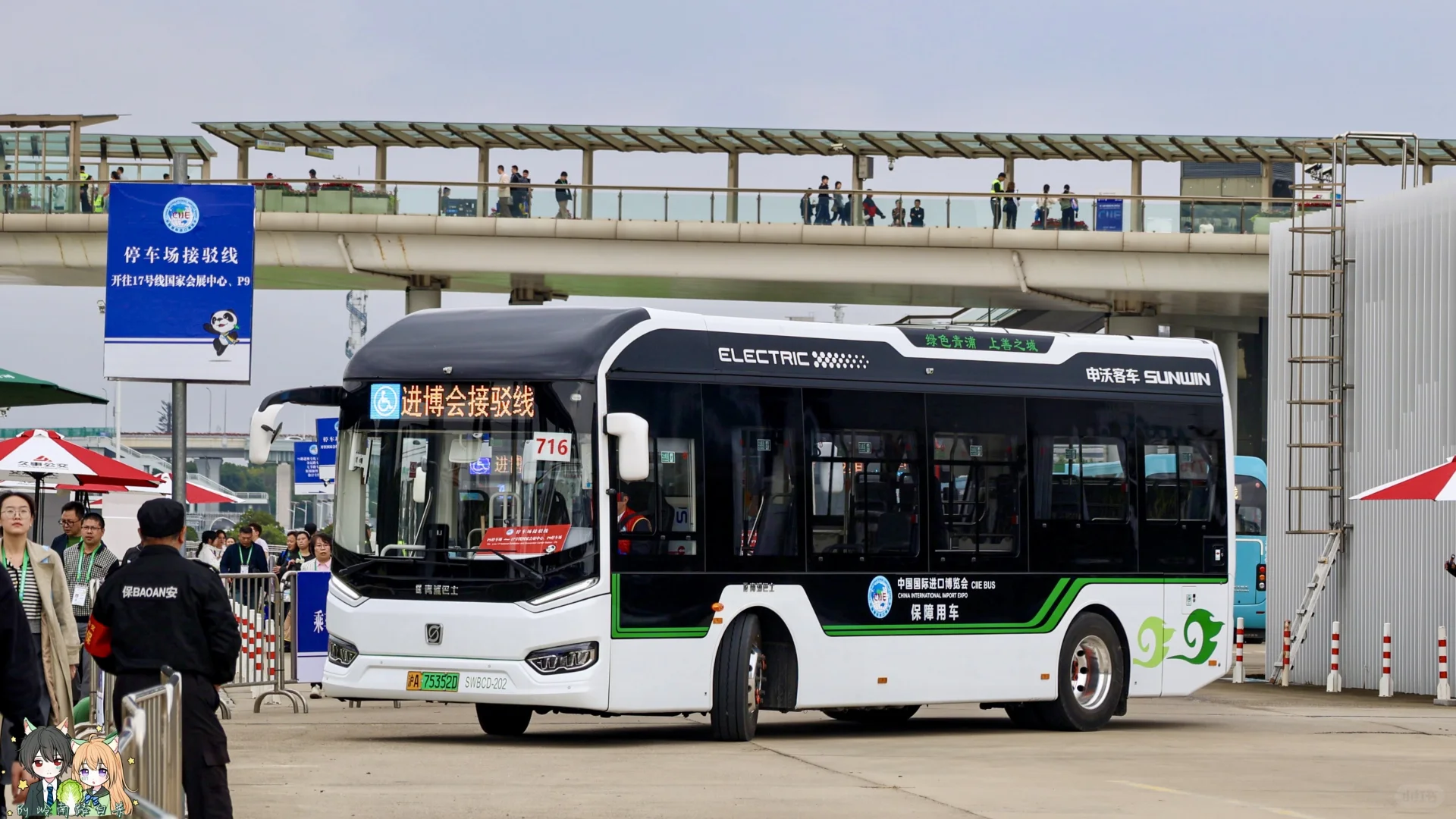 青浦小萌物白金刚