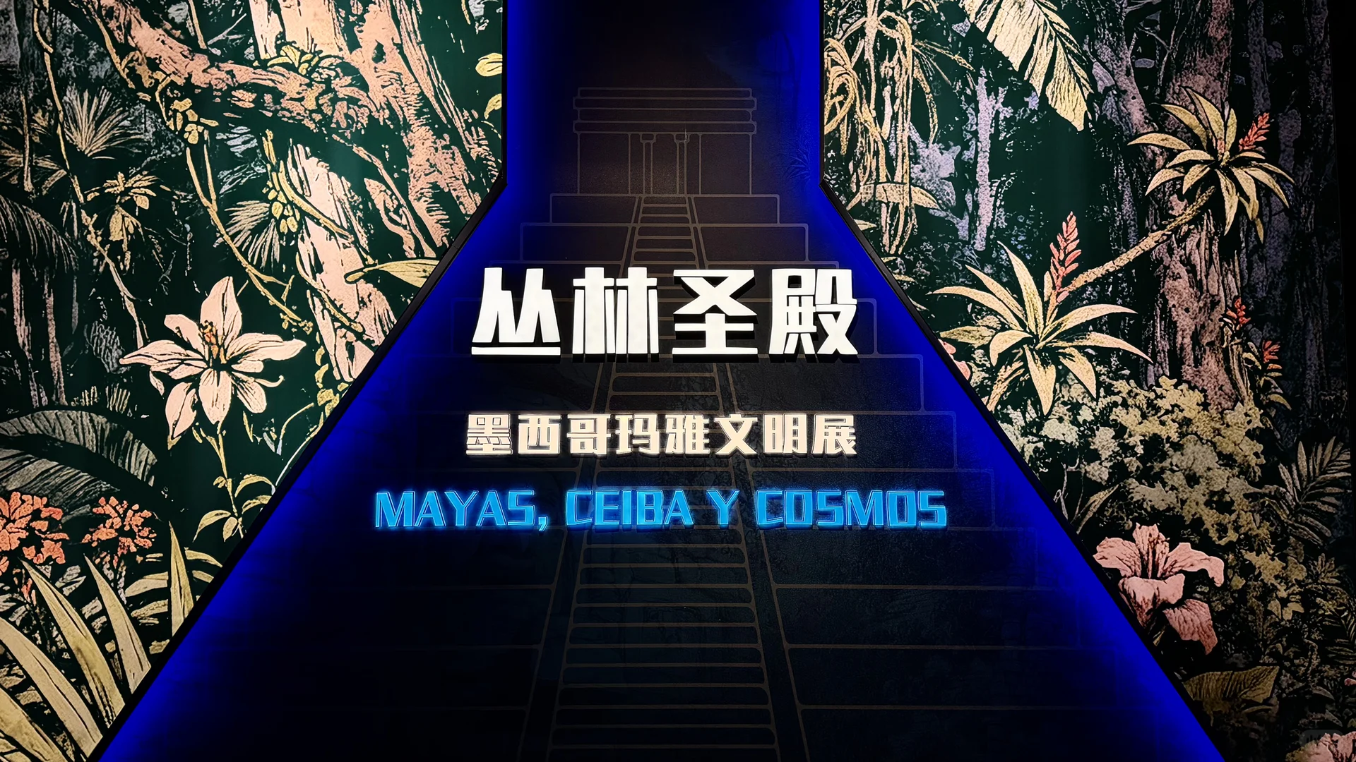 去不了库库尔坎金字塔，就来看玛雅文明展吧