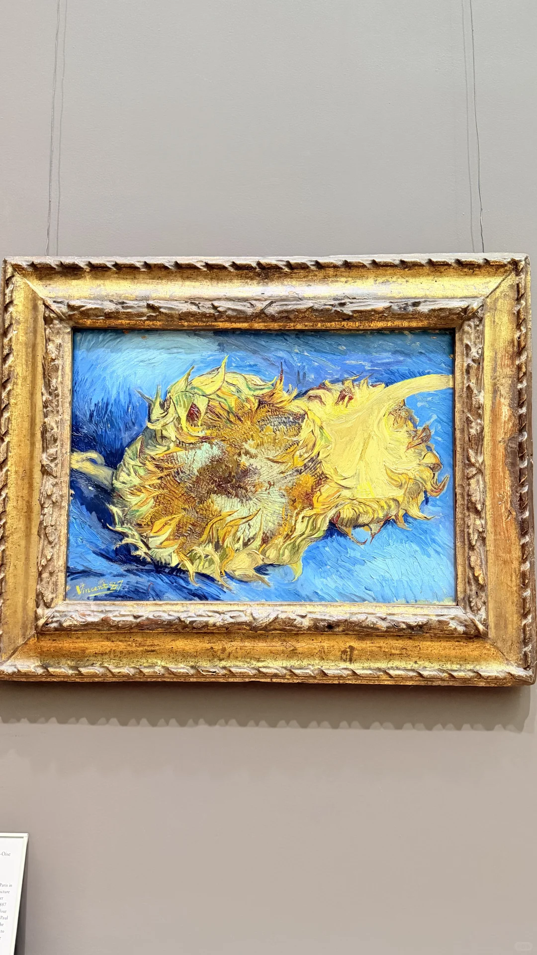 纽约 | 大都会艺术博物馆之欧洲画展