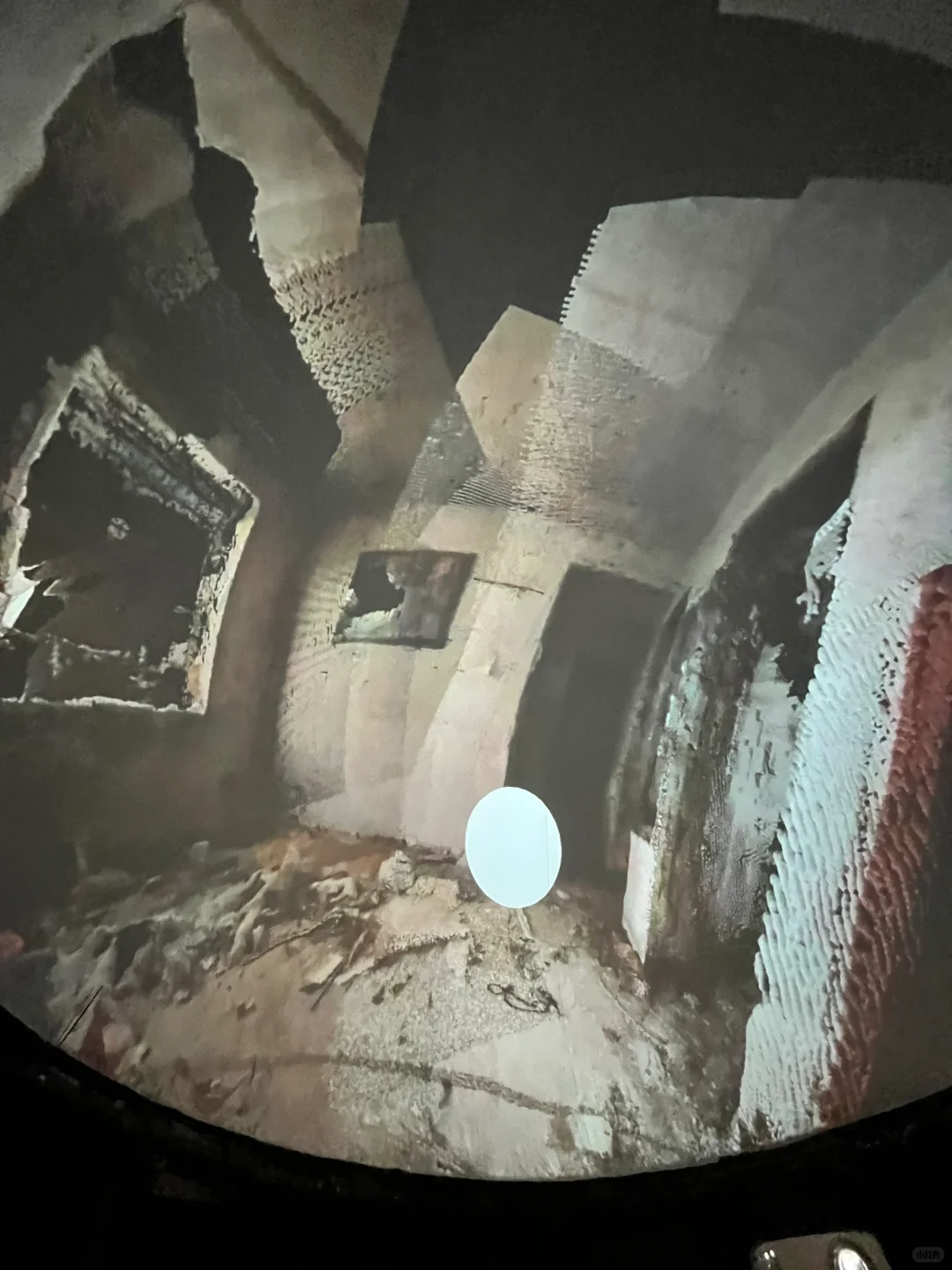 央美毕业设计展之【躺平系列】