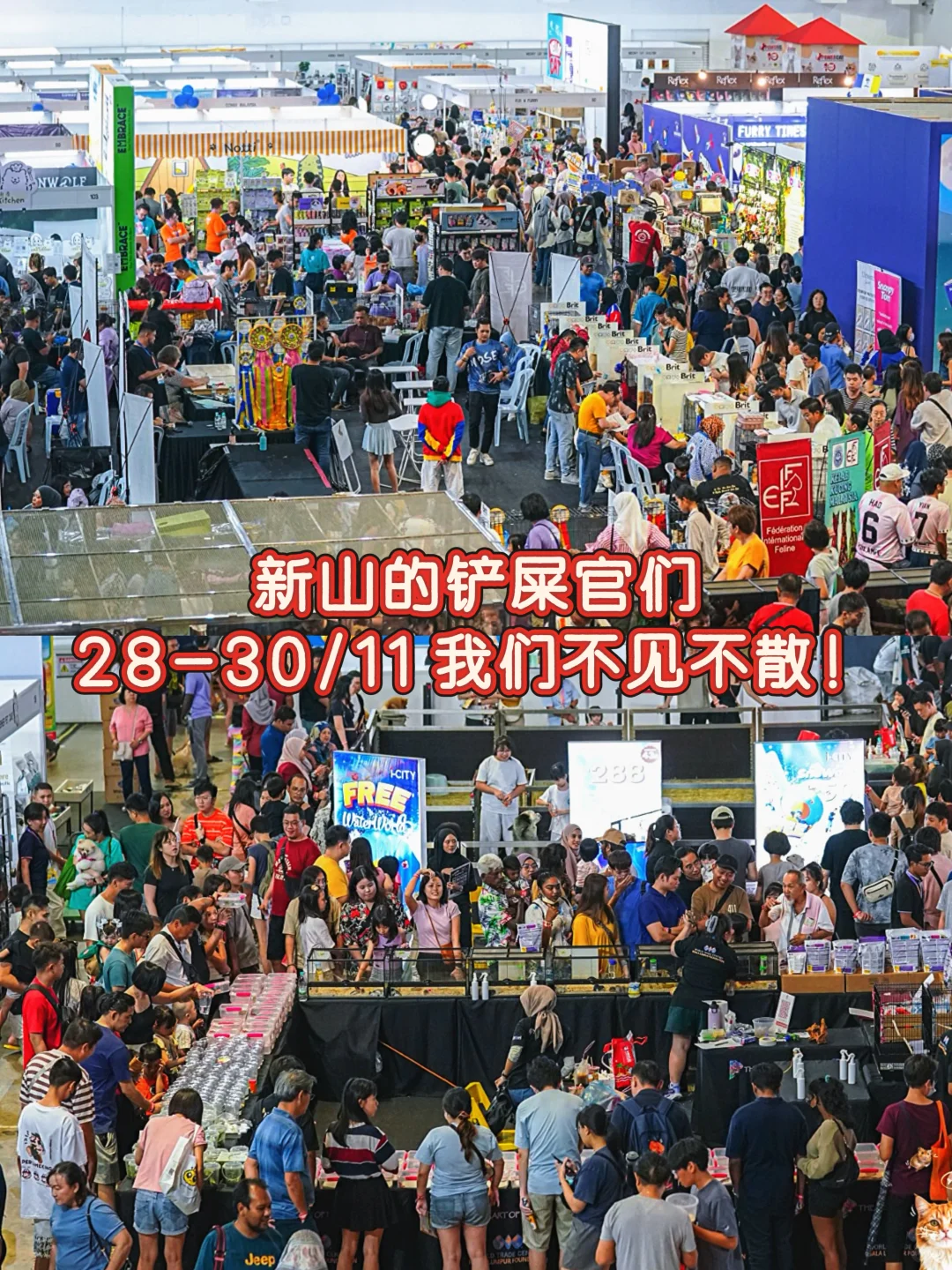 11月宠物展Pet Expo 2025攻占JB新山！???