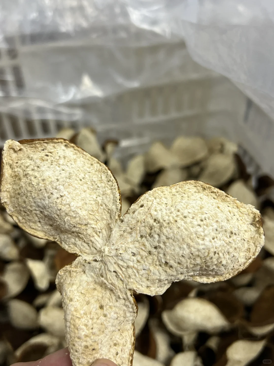 今年公司采购 你们会采购什么呢？？？