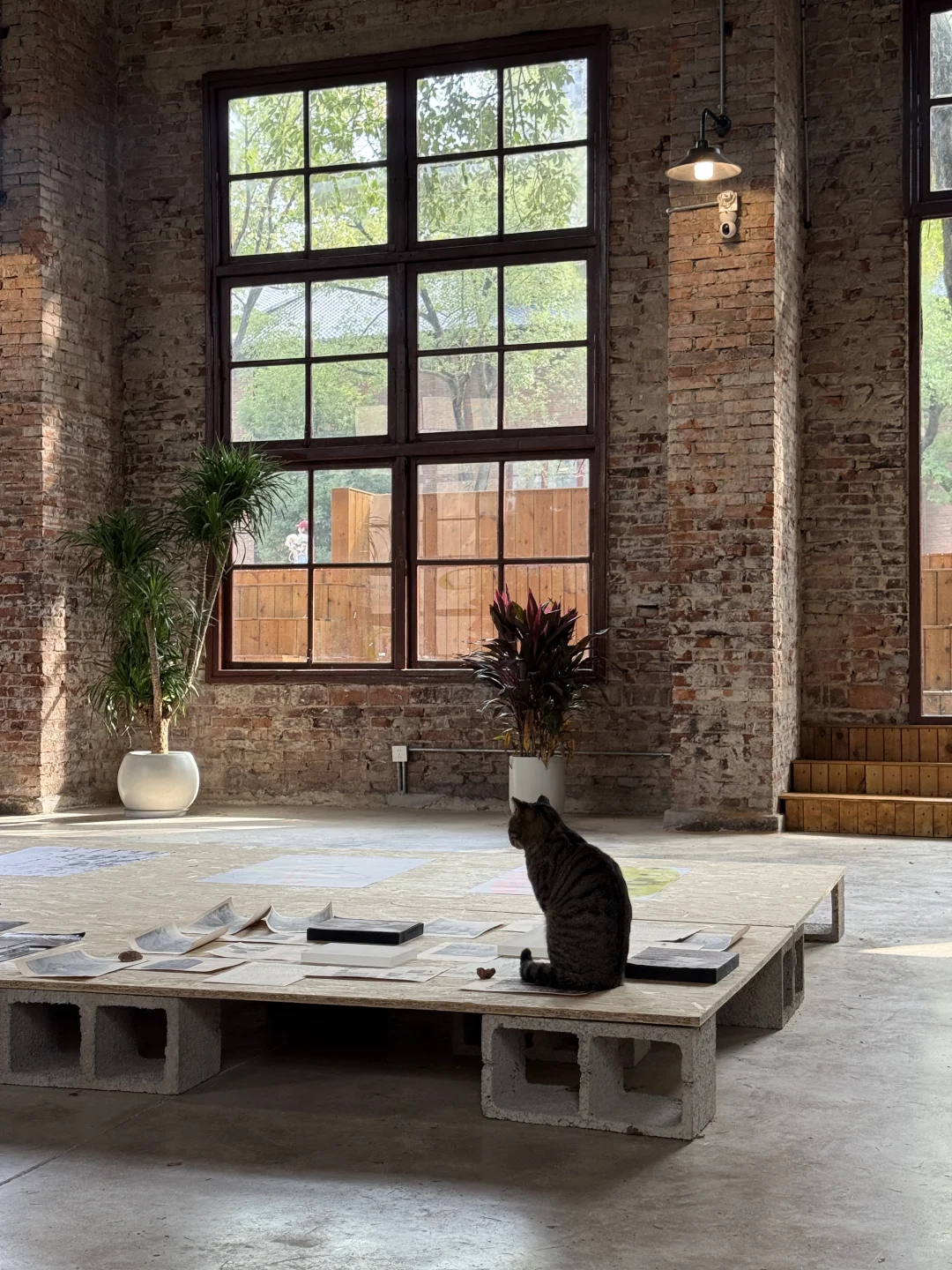 长沙新展 ▪️233艺术社区 ? 「生长的语法」