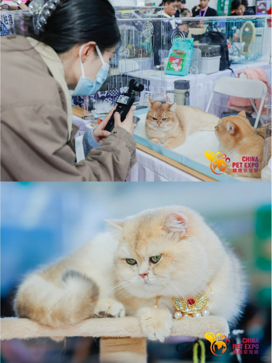 宠物行业品牌商看过来!速约展位?