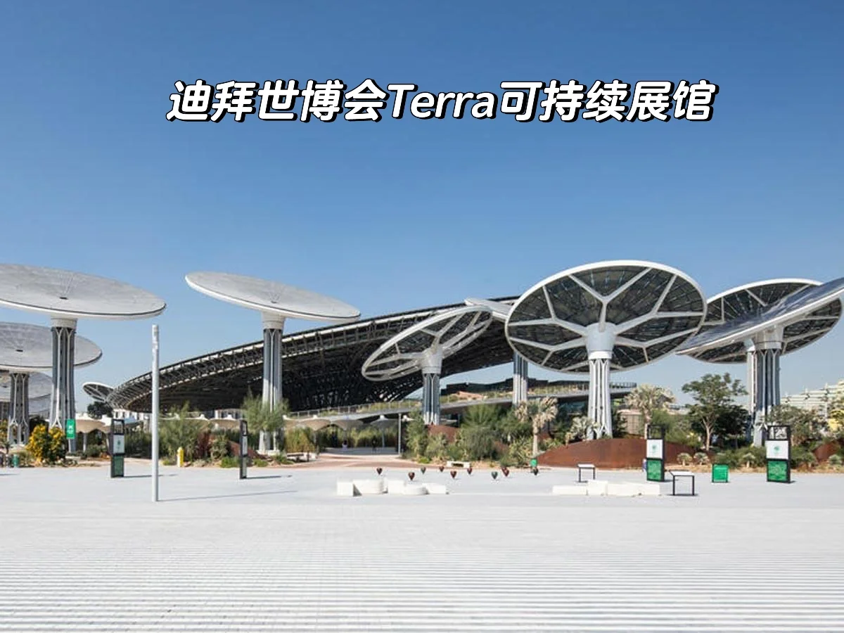 阿拉伯联合酋长国发行新版塑料钞500迪拉姆