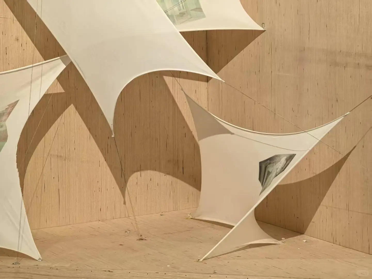 国美下乡作品入展啦！