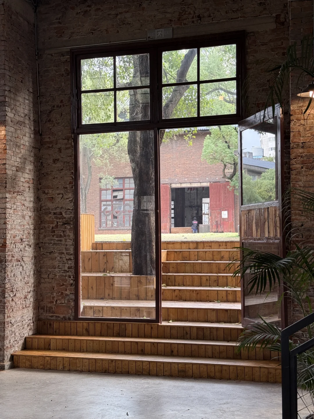 长沙新展 ▪️233艺术社区 ? 「生长的语法」