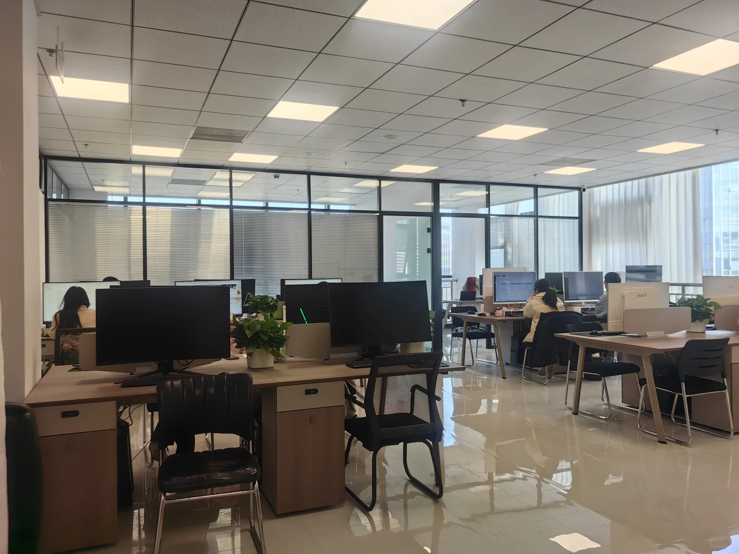 跨境电商公司招聘，坐标：科创城