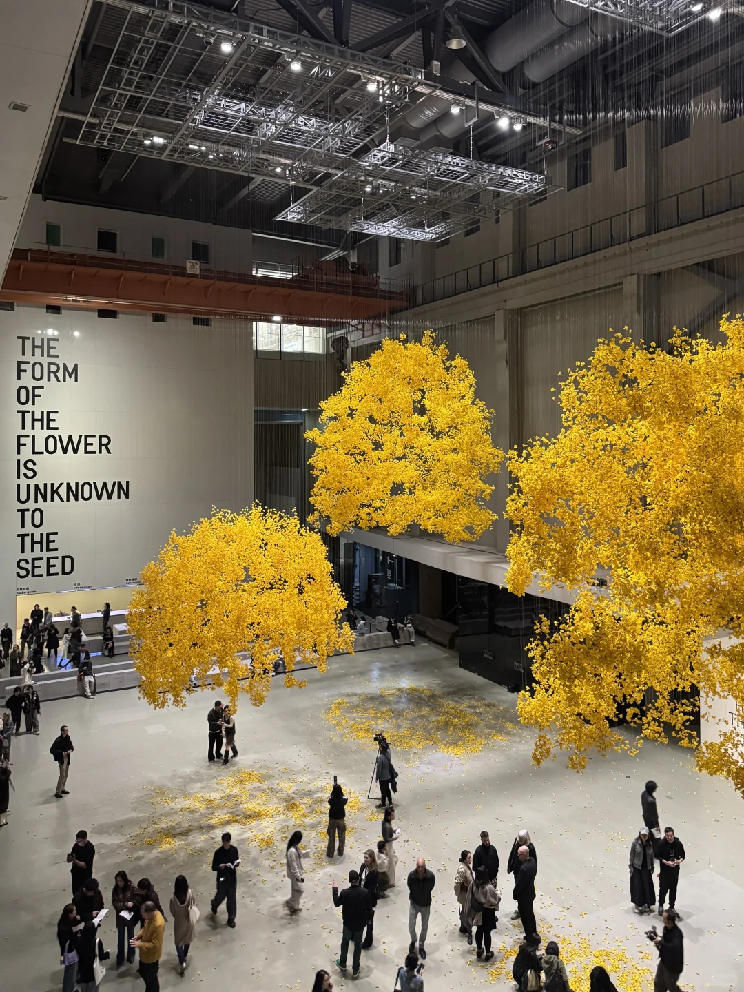 年度必看展｜上海双年展?花儿听到蜜蜂了吗