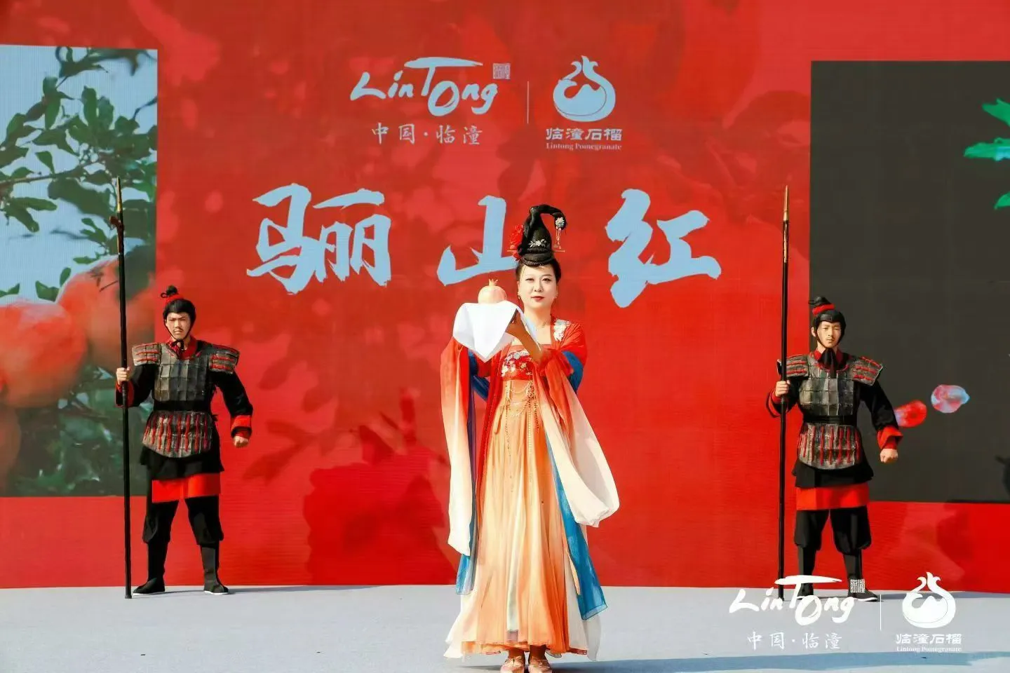 西安活动拍摄丨石榴推介会