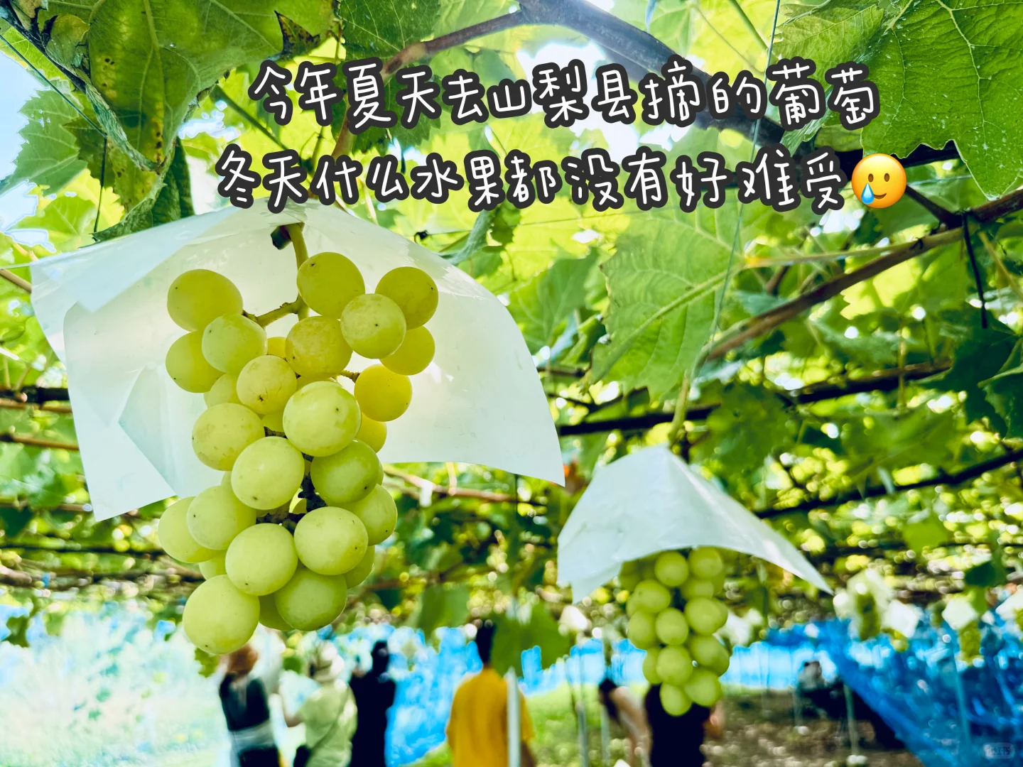 MBB-当你以为项目会稳，它就开始塌了（3/4）