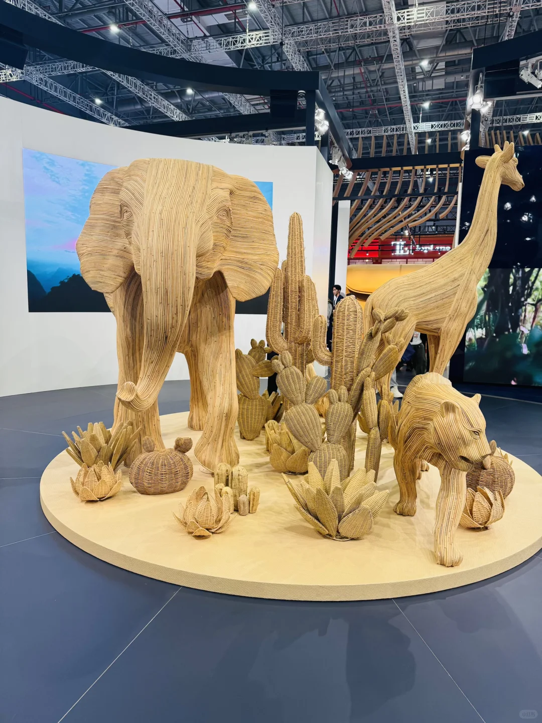 2025进博会暴走攻略?四叶草一日游