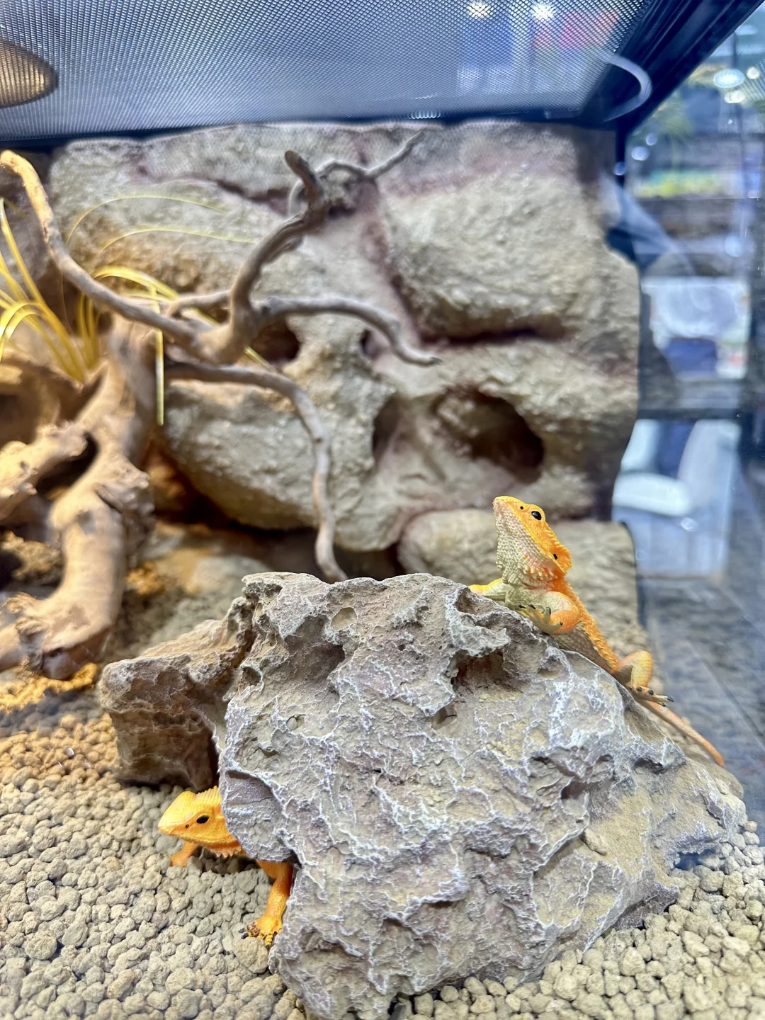 云观展- 2025长城杯