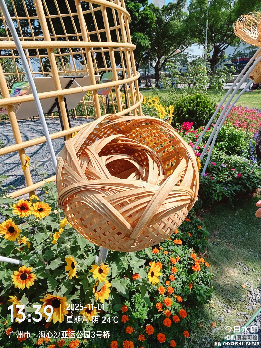 错过等一年第32届广州园博会秋季场美到窒息