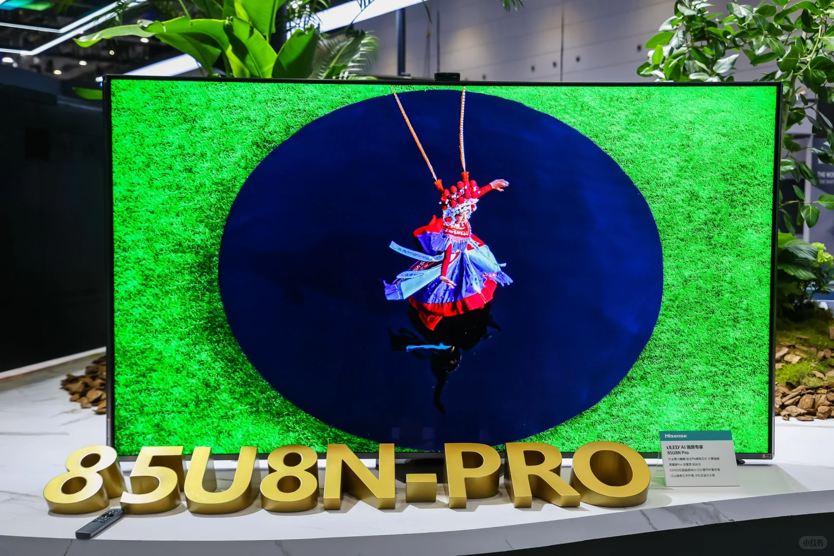 和海信，看见不一样的世界