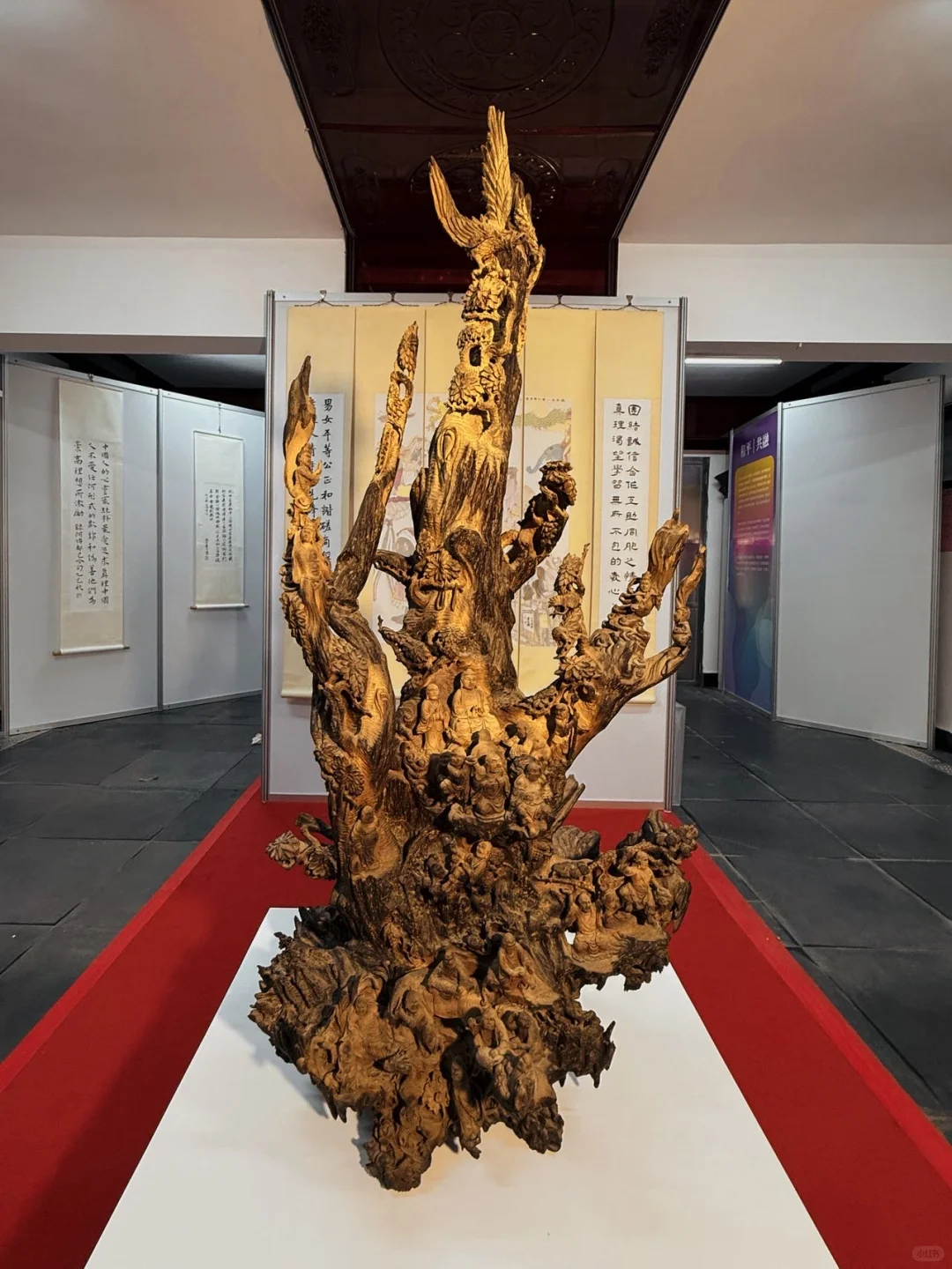 澳门2025新展|六大宗首次同聚一堂!