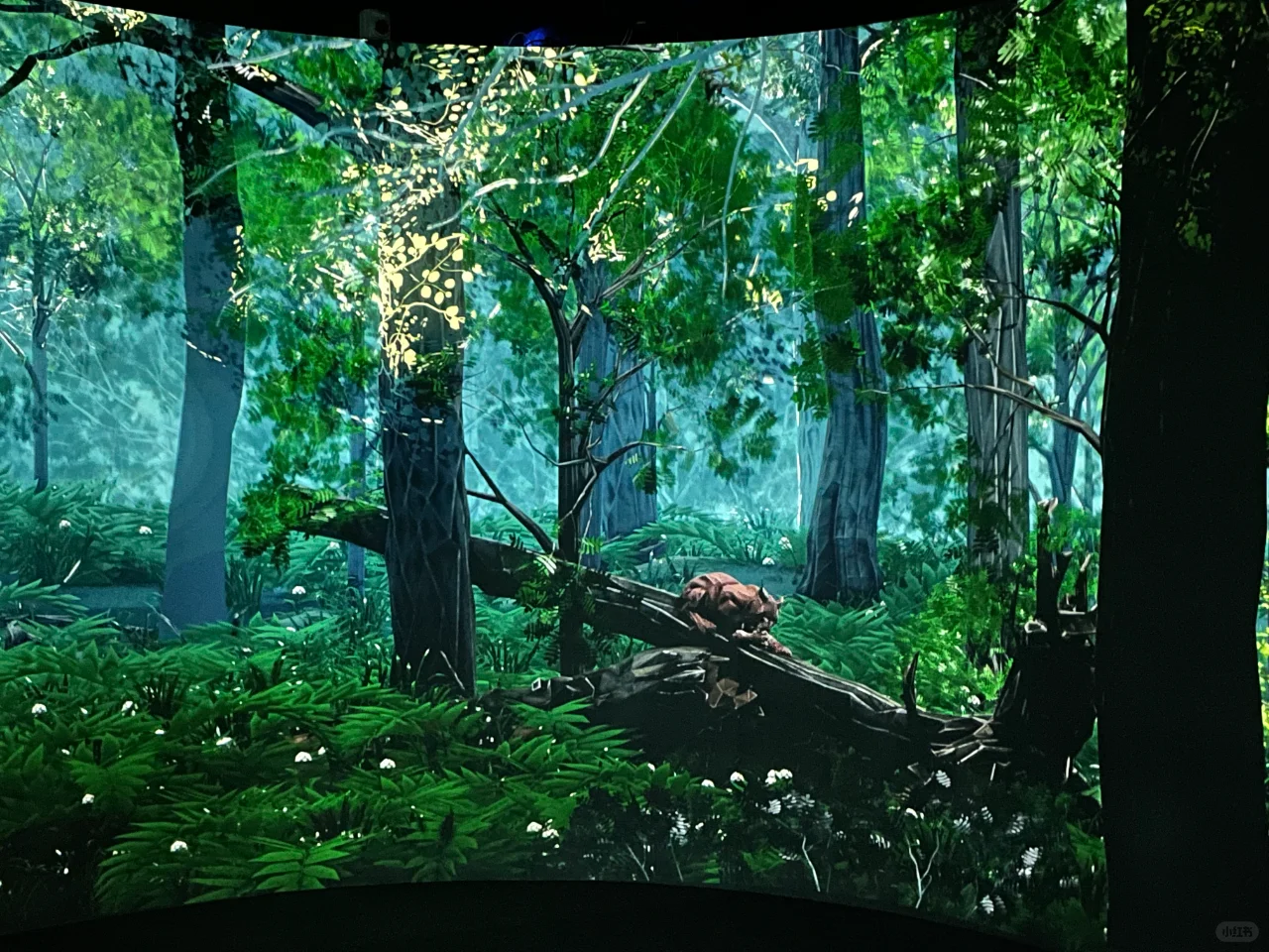 总监带你看世博会——波兰馆(2020)