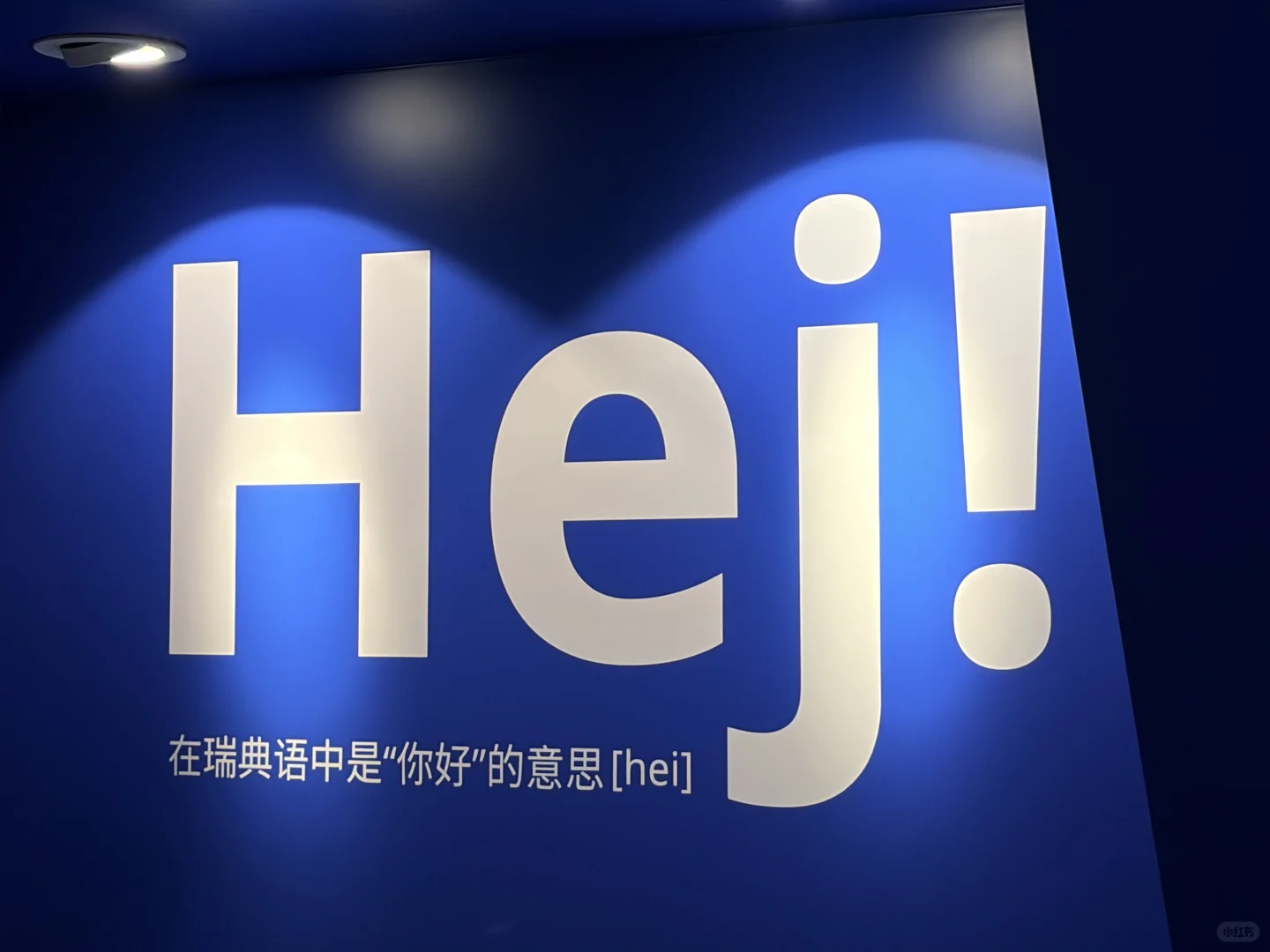 上交研一?进！博！会！