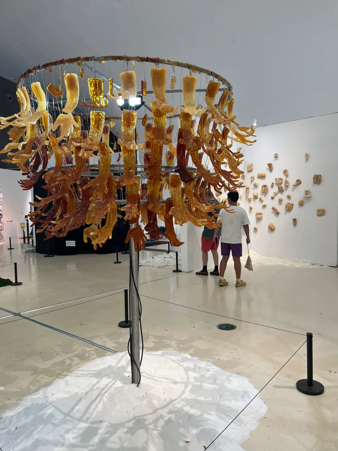 央美毕业设计展之【躺平系列】