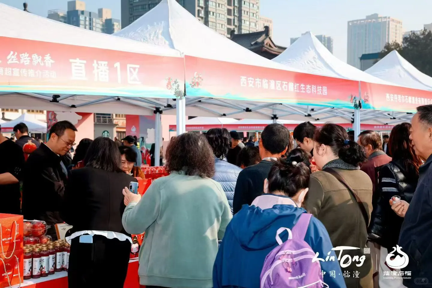 西安活动拍摄丨石榴推介会