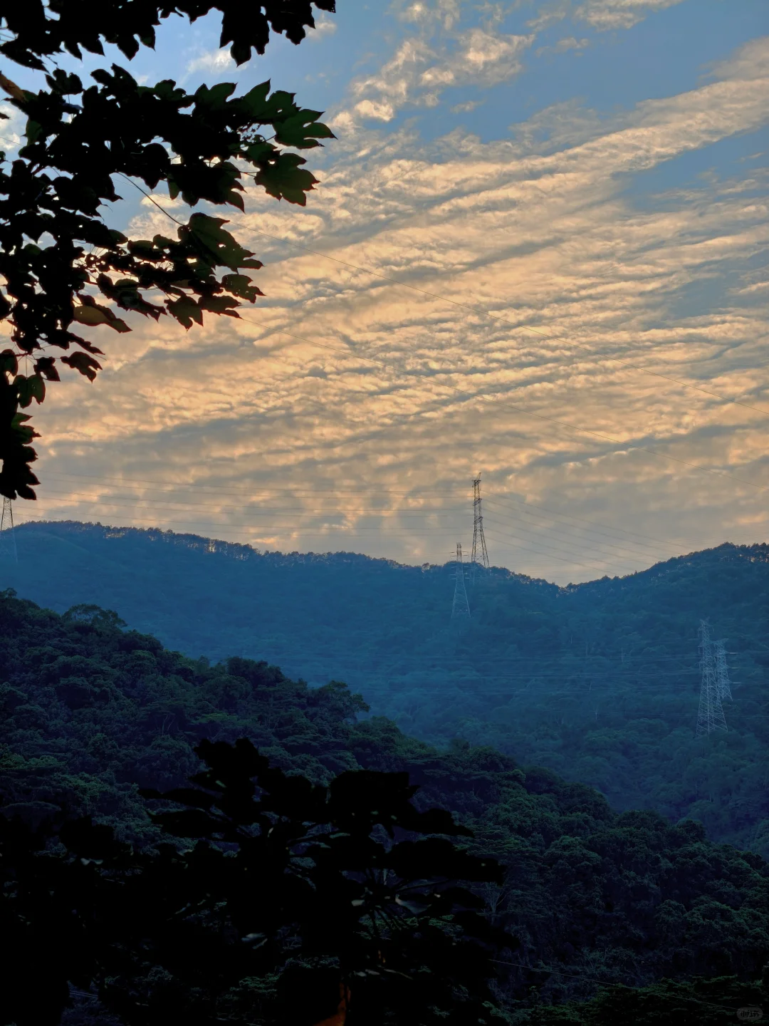 只要有人的地方 就有中国人卖东西
