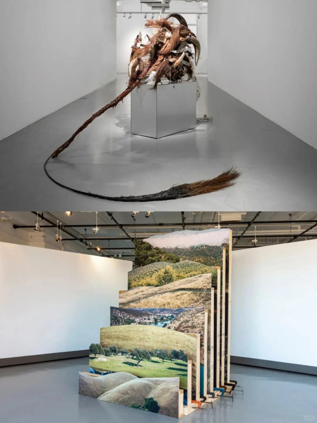 上海11月必冲艺术狂欢?西岸艺博会全攻略