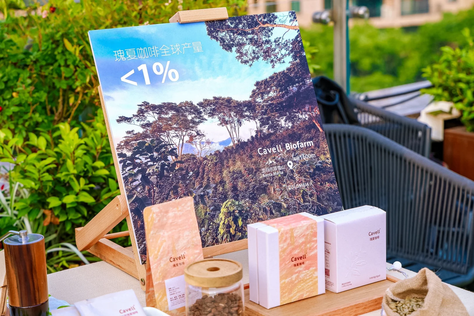 温州的咖友,请你喝瑰夏咖啡,你在哪?