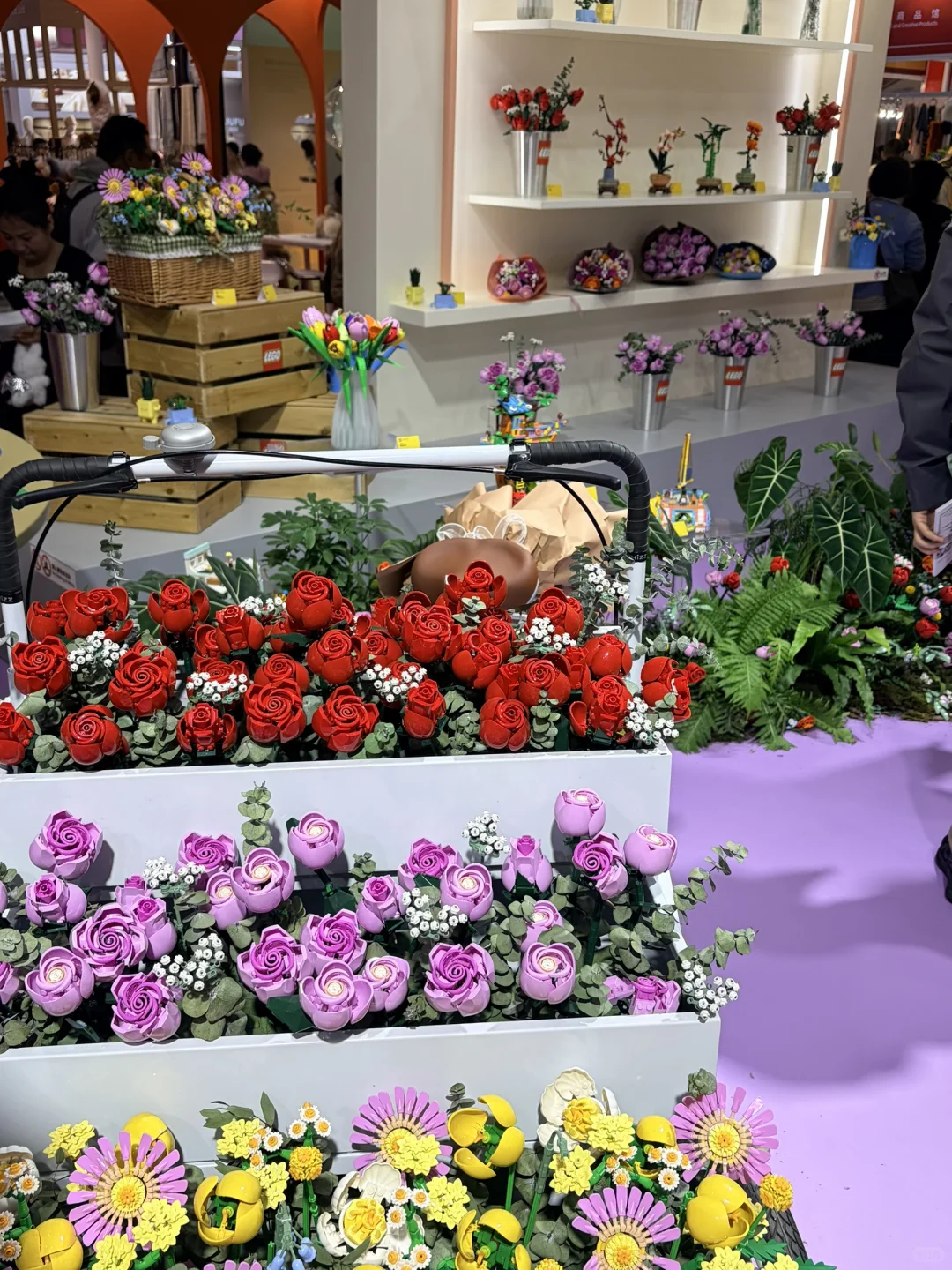 上交研一?进！博！会！