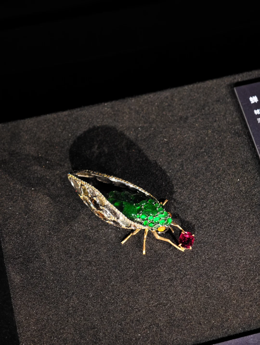 我在深圳找珠宝大赛教练??学金属起版