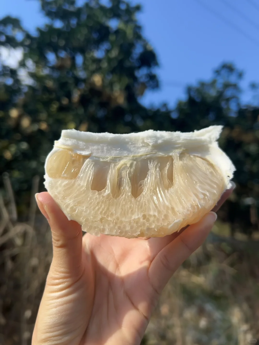 一大早看到，说实话，五味杂陈?谁懂果农啊?