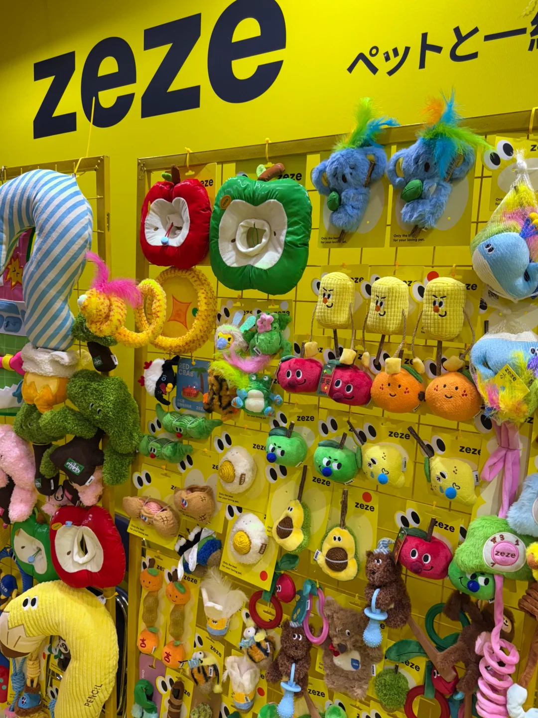 来「东京国际宠物展」和 zeze碰面吧??