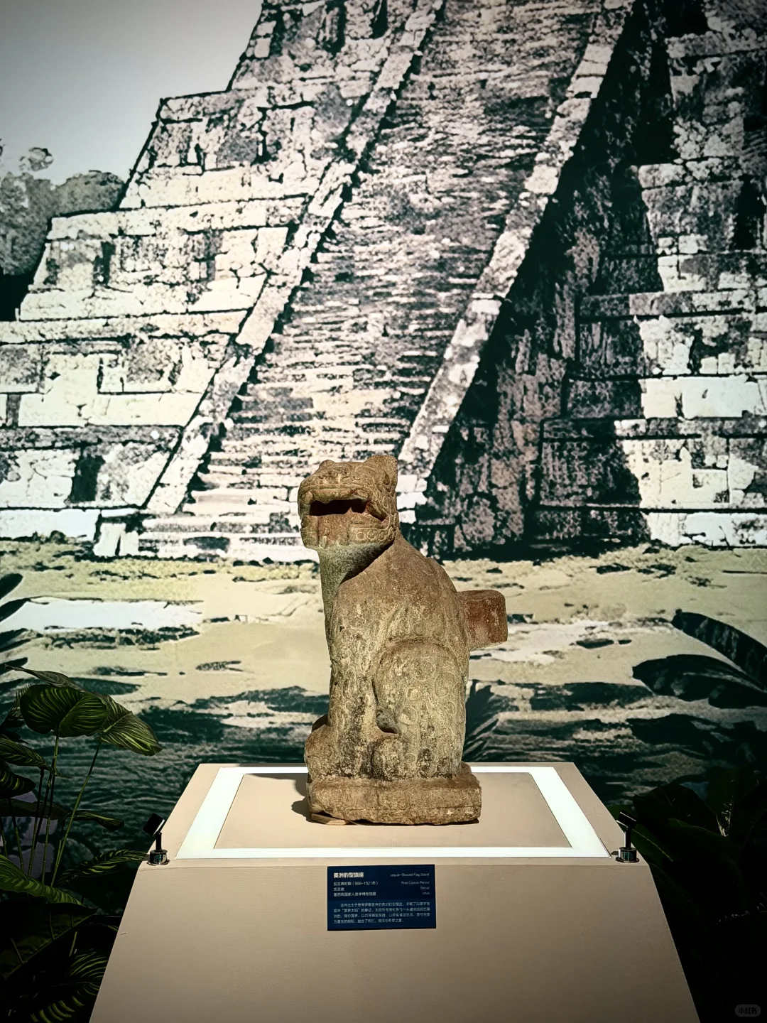 去不了库库尔坎金字塔，就来看玛雅文明展吧