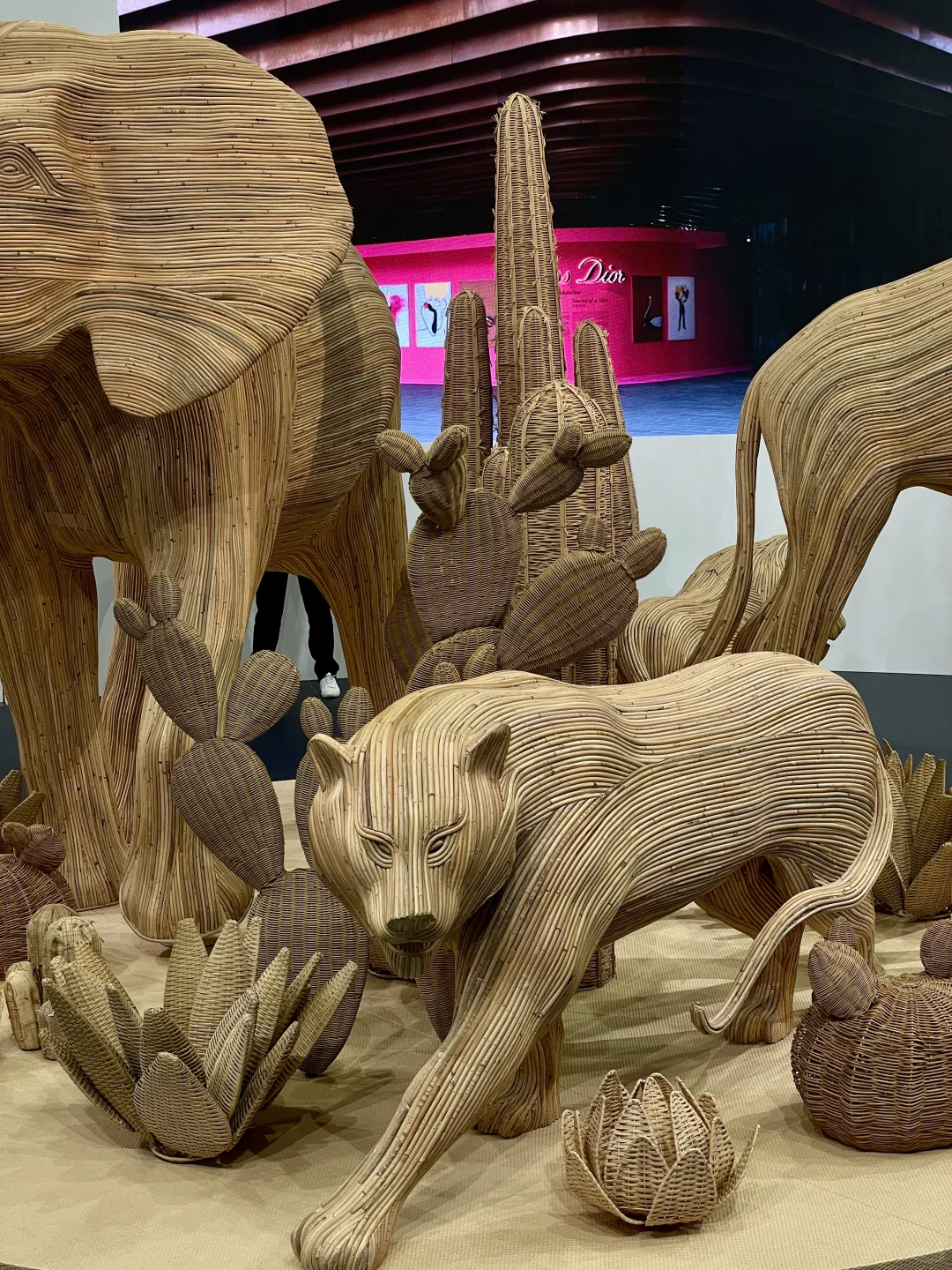 在进博会工作六天的审美积累